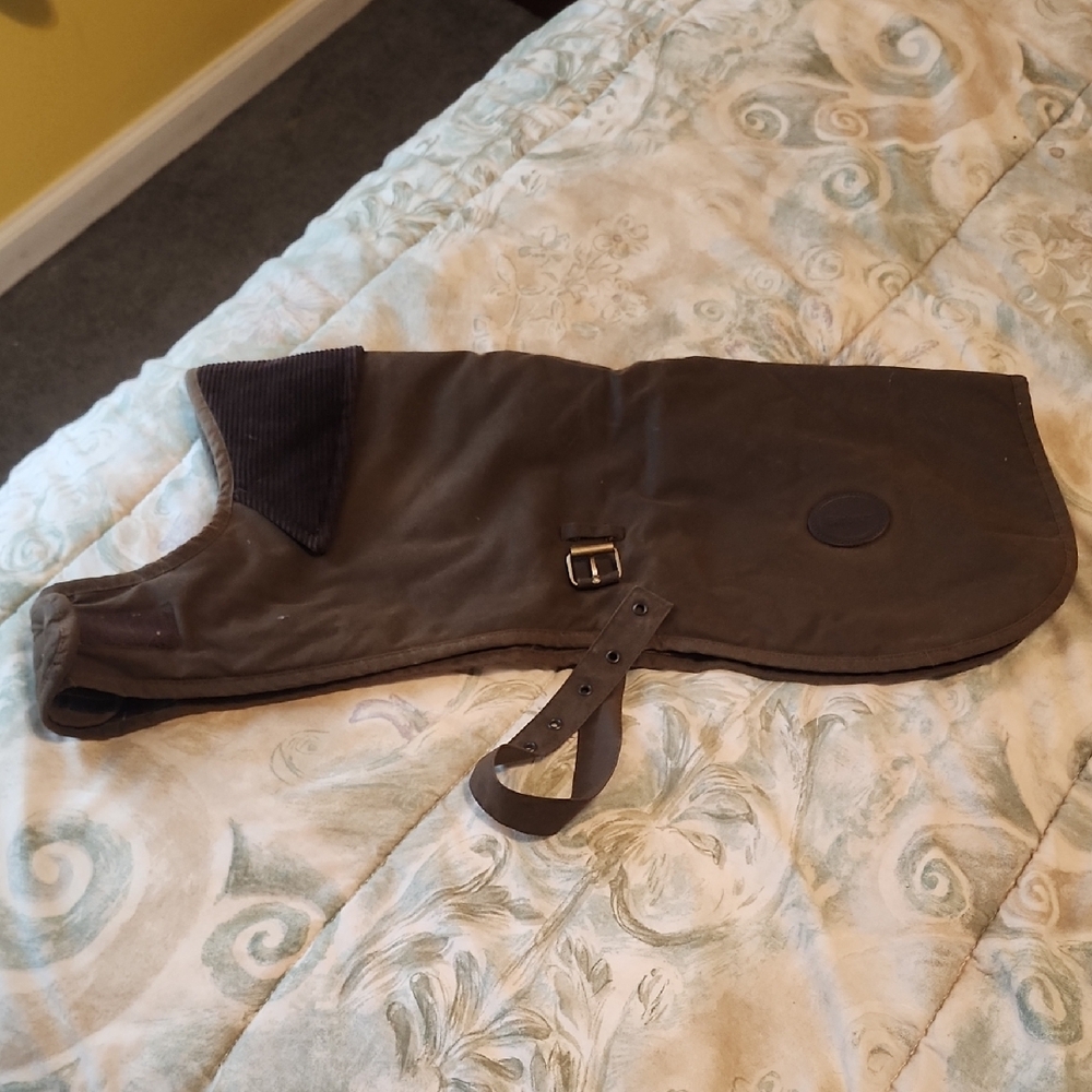 Brown Dog Coat with Corduroy Collar